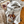 Rank Western Hoodies: Rowdy Roan / S