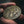 Death's Cold Hands Challenge Coin