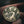 Death's Cold Hands Challenge Coin