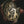 Death's Cold Hands Challenge Coin